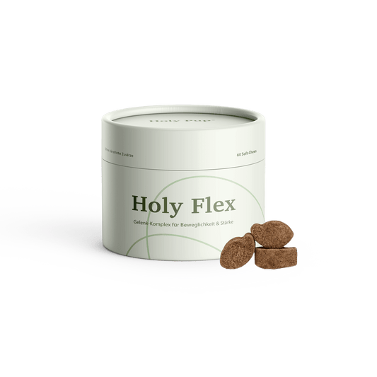 Holy Flex